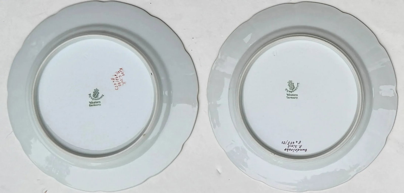 Four Nymphenburg Porcelain Botanical Plates - 7