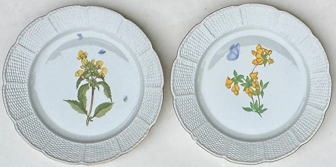 Four Nymphenburg Porcelain Botanical Plates - 8
