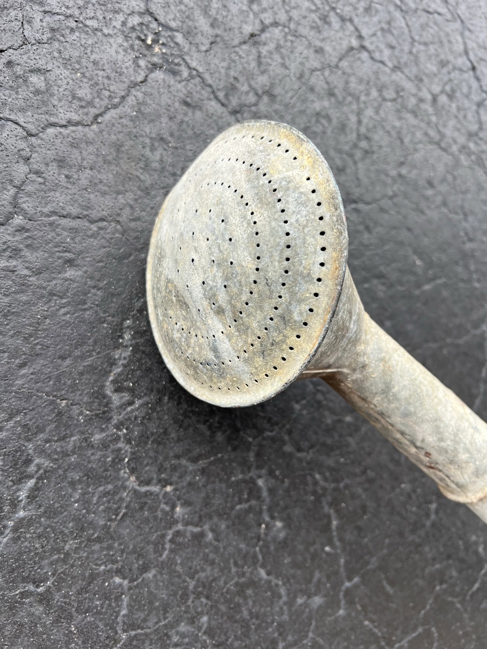 Vintage Metal Bat Watering Can - 3