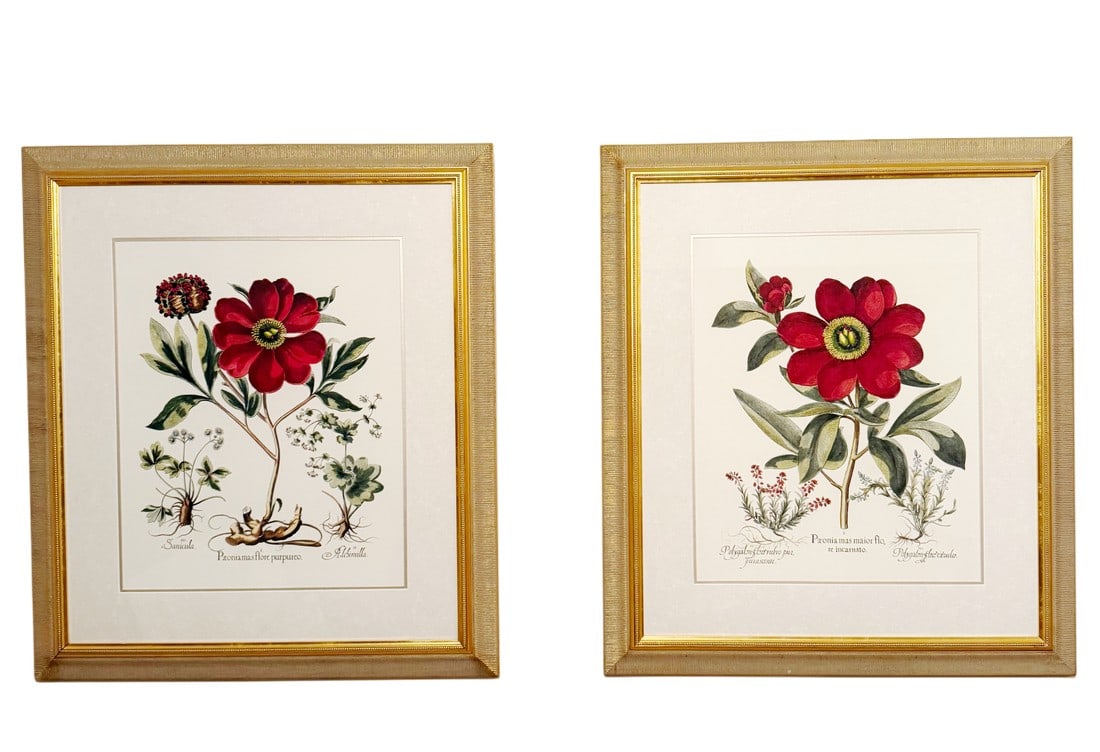 Large Botanical Lithographs Vibrant Color In Gold Gilt Frames Set Of 2 Red Floral: Two large framed botanical prints. Beautiful tones and quality. The prints are 21" x 17" each. The frames are 28 1/4 " wide x 33 1/4" tall The gold gilt frames are decent - they have some minor signs