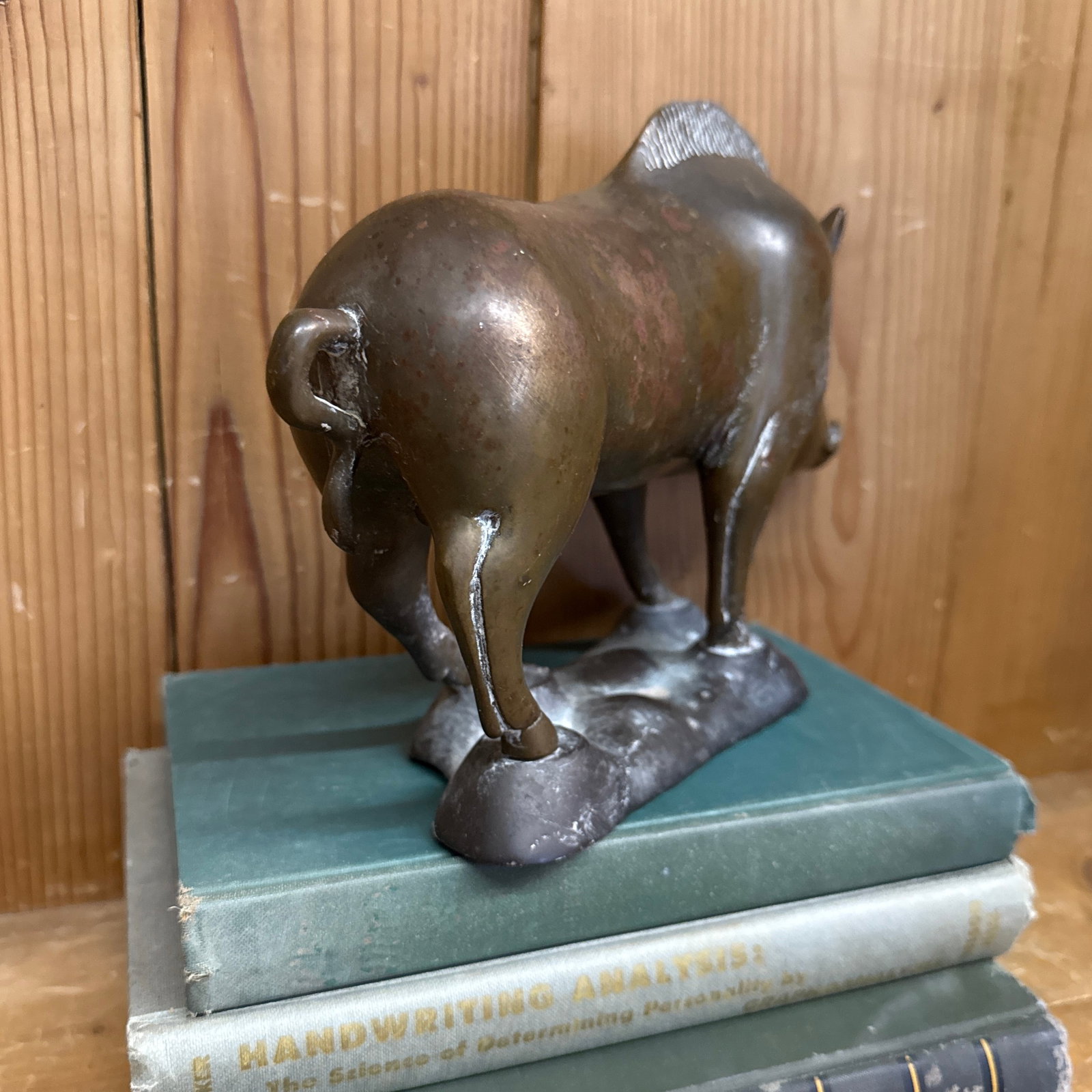 1950s Wild Boar Bronze Sculpture Razor Back Boar - 6