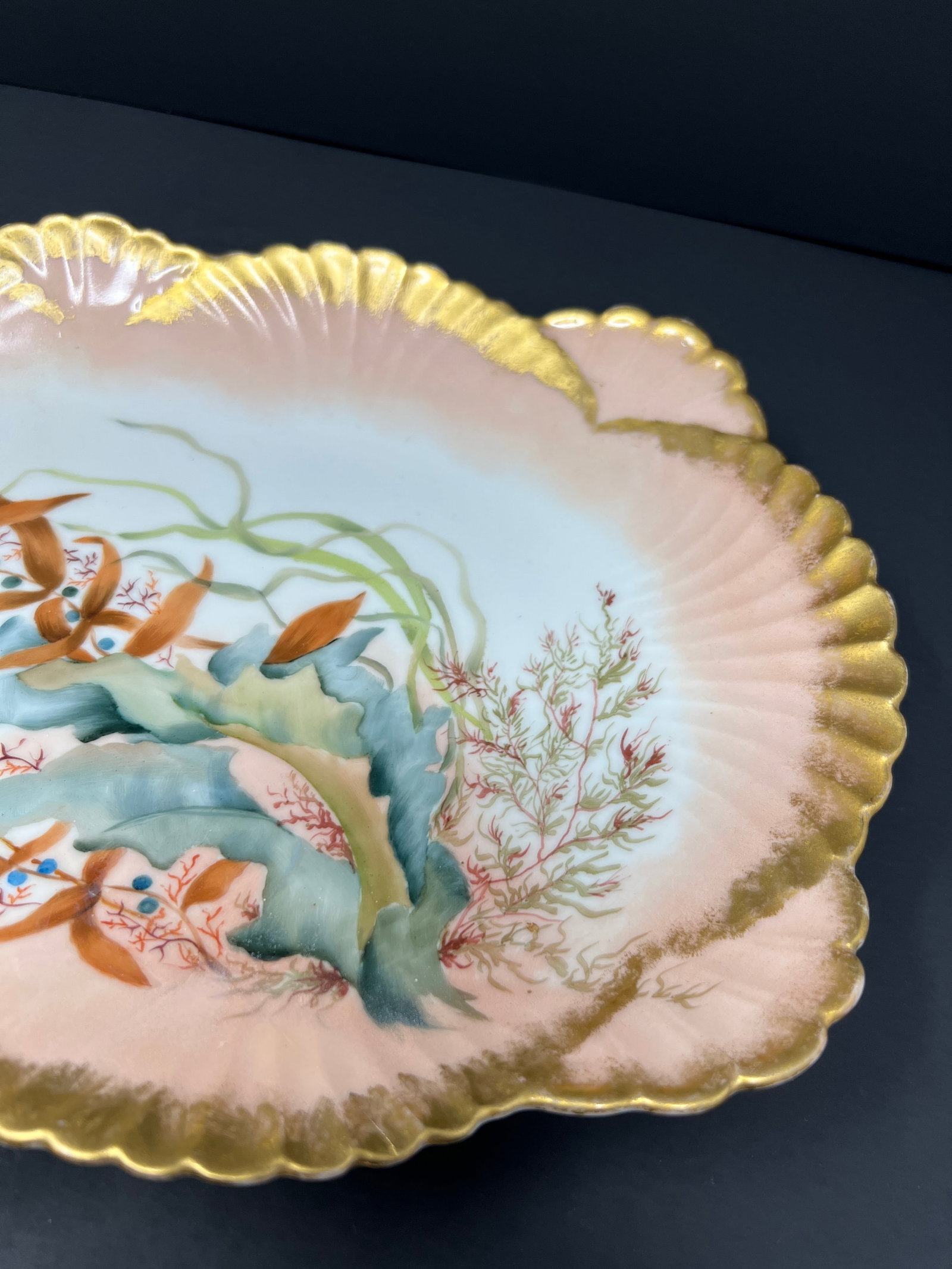 Antique Hand-Painted Limoges Porcelain Charger, Art Nouveau Marine Botanical, France c.1900 - 6
