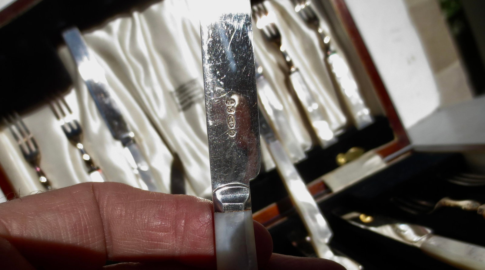 Vintage Mother of Pearl Boxed Serving Set - 7