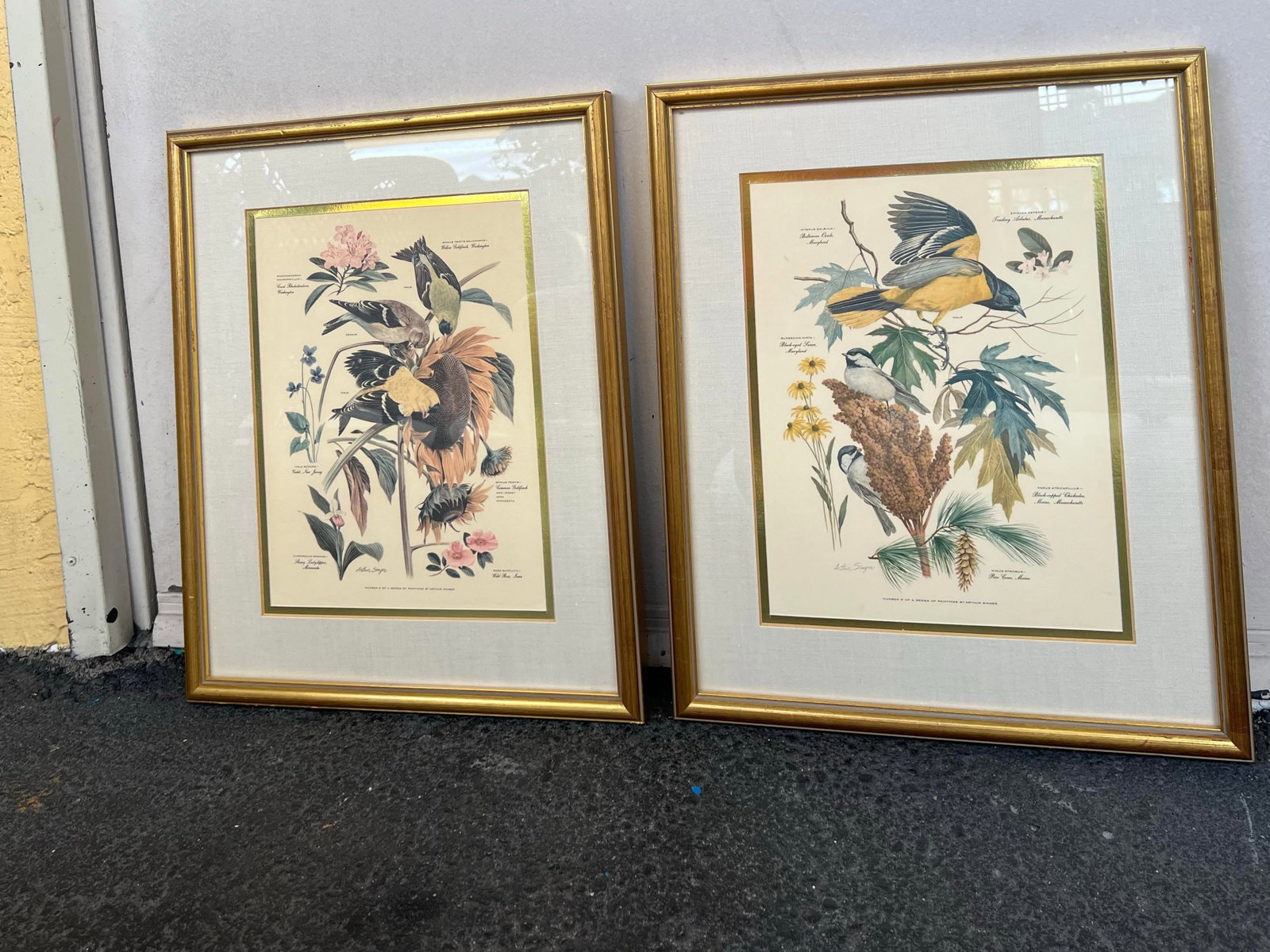 Mid Century Pair of Framed Audubon Bird & Flower Prints Signed Arthur Singer -2 - 4