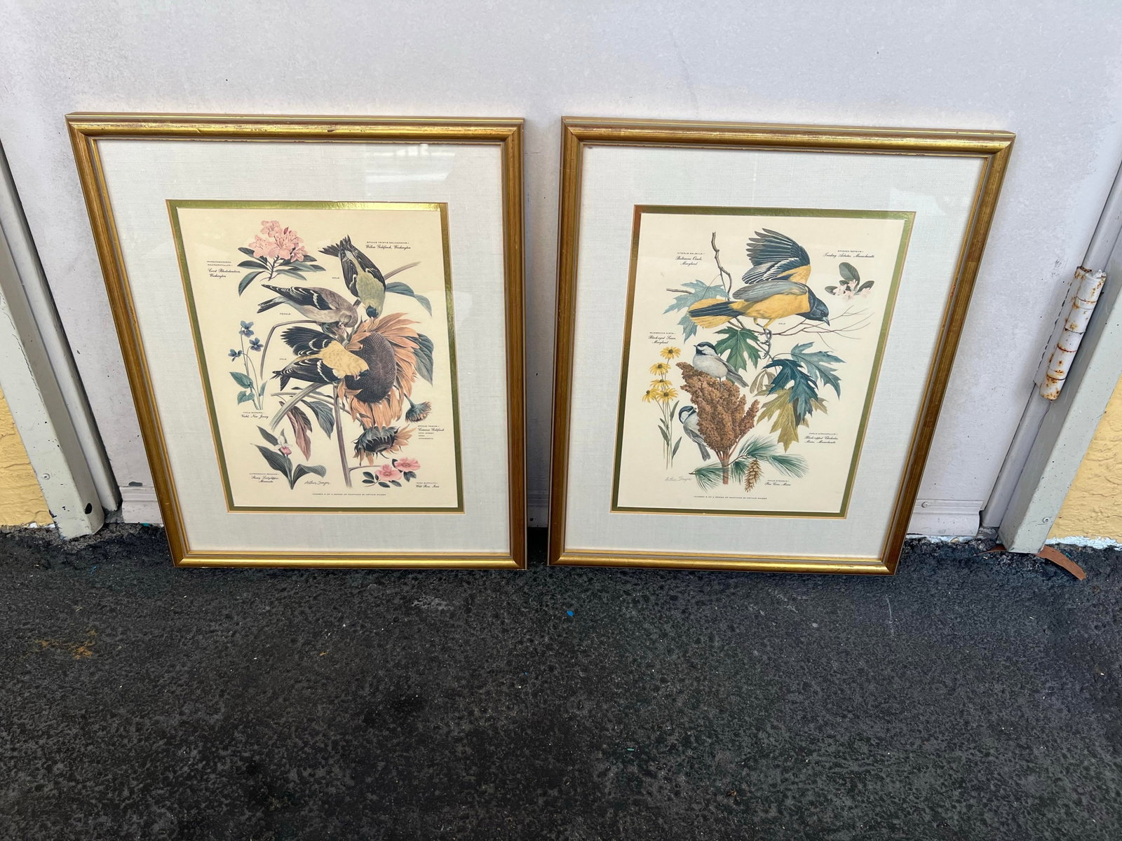 Mid Century Pair of Framed Audubon Bird & Flower Prints Signed Arthur Singer -2 - 6