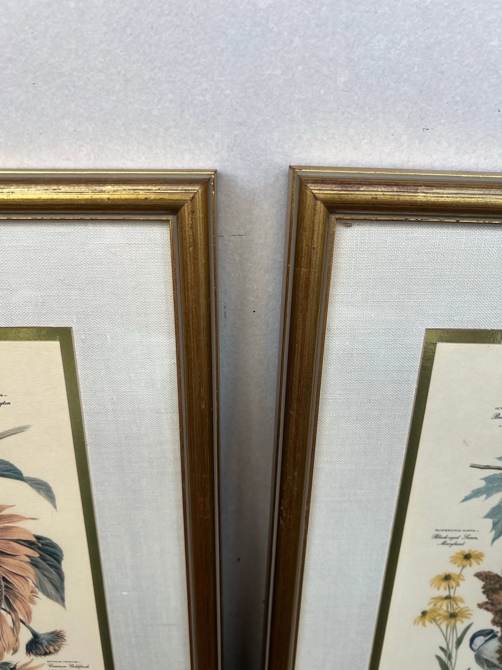 Mid Century Pair of Framed Audubon Bird & Flower Prints Signed Arthur Singer -2 - 7