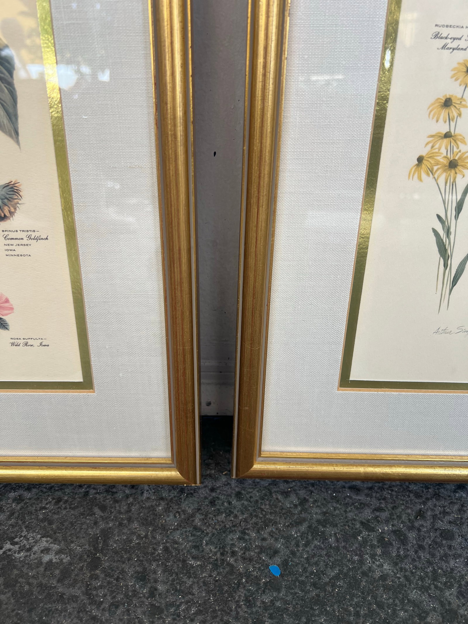 Mid Century Pair of Framed Audubon Bird & Flower Prints Signed Arthur Singer -2 - 9