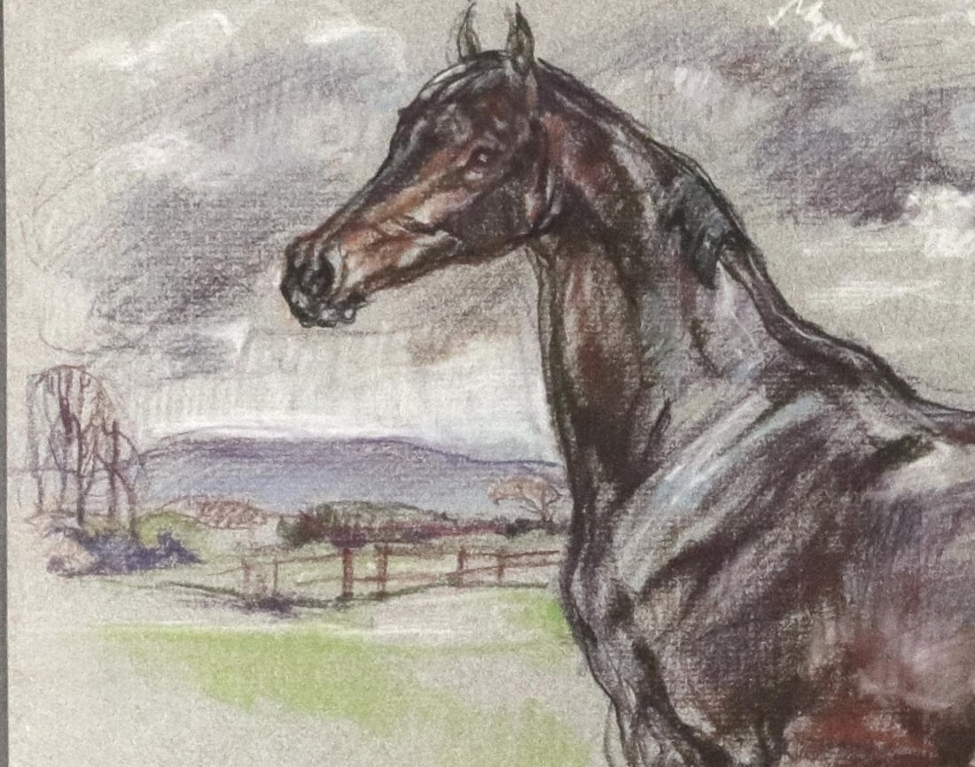 The Equestrian Eye: Original Pastel of a Stallion by Leslie Charlotte Benenson Dated May 16, 1986 - 2