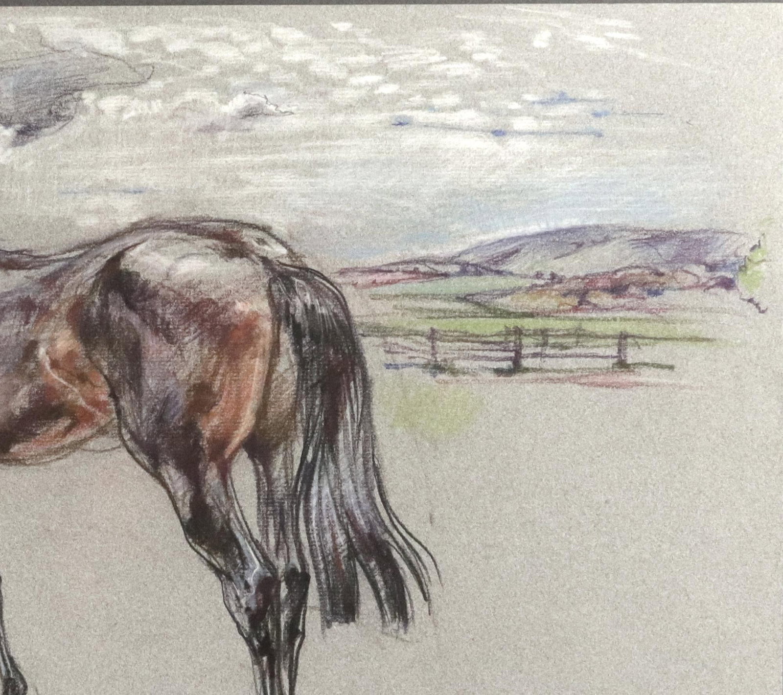 The Equestrian Eye: Original Pastel of a Stallion by Leslie Charlotte Benenson Dated May 16, 1986 - 5