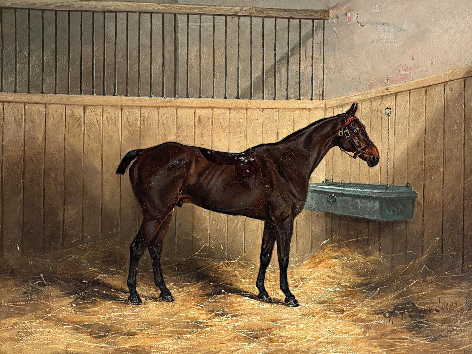 1895 "Portrait of a Bay Hunter" Antique Horse Painting Oil on Canvas by Henry Frederick Lucas Lucas - 2