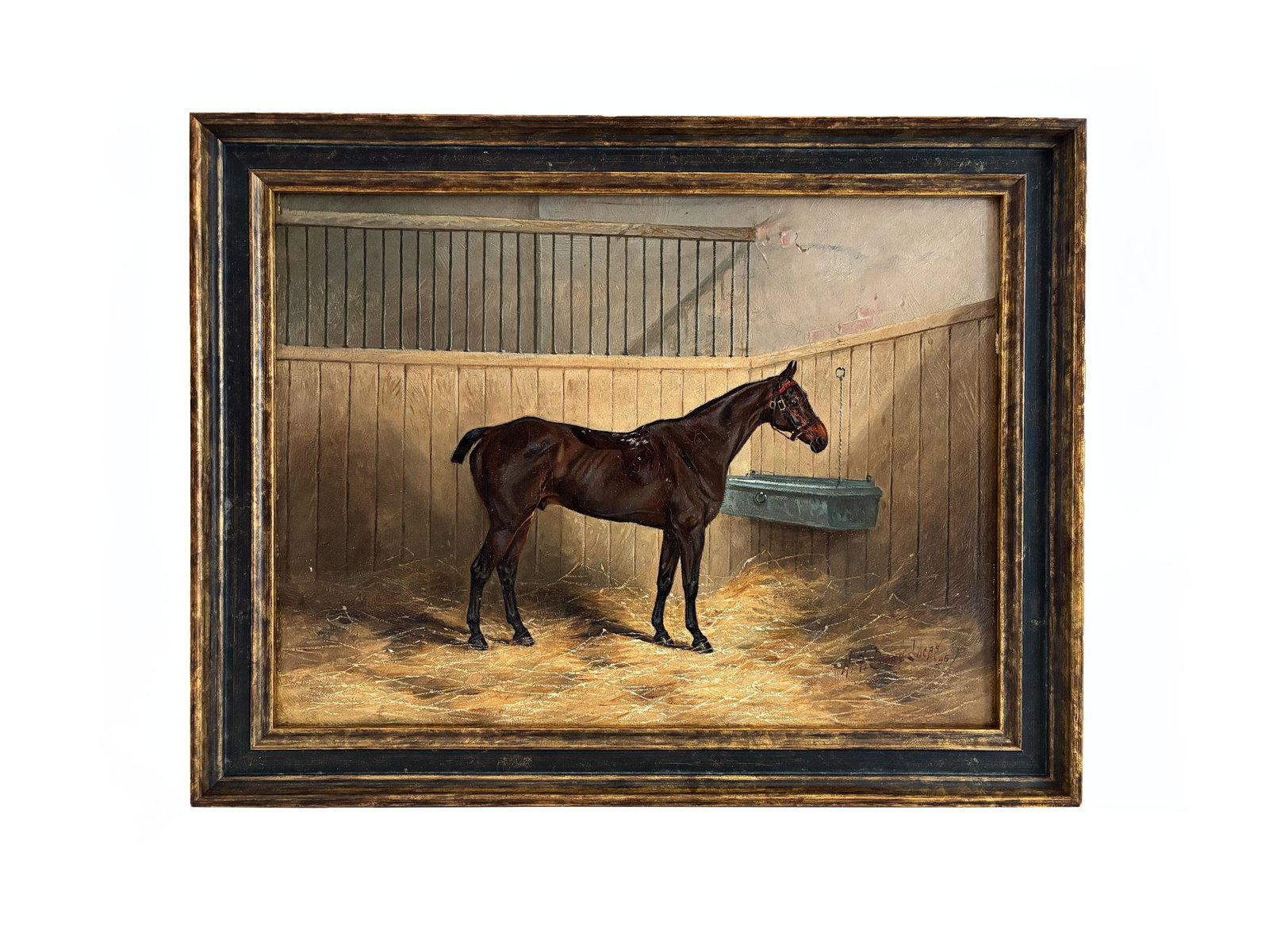 1895 "Portrait of a Bay Hunter" Antique Horse Painting Oil on Canvas by Henry Frederick Lucas Lucas - 7