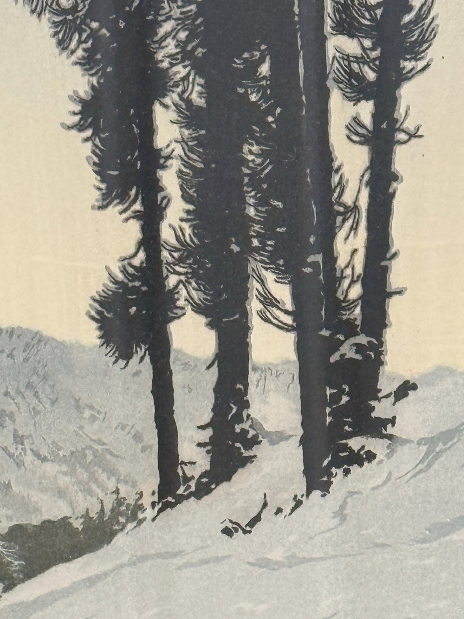 Mid-Century Hans Figura Signed Alpine Landscape Aquatint Etching on Silk - 4
