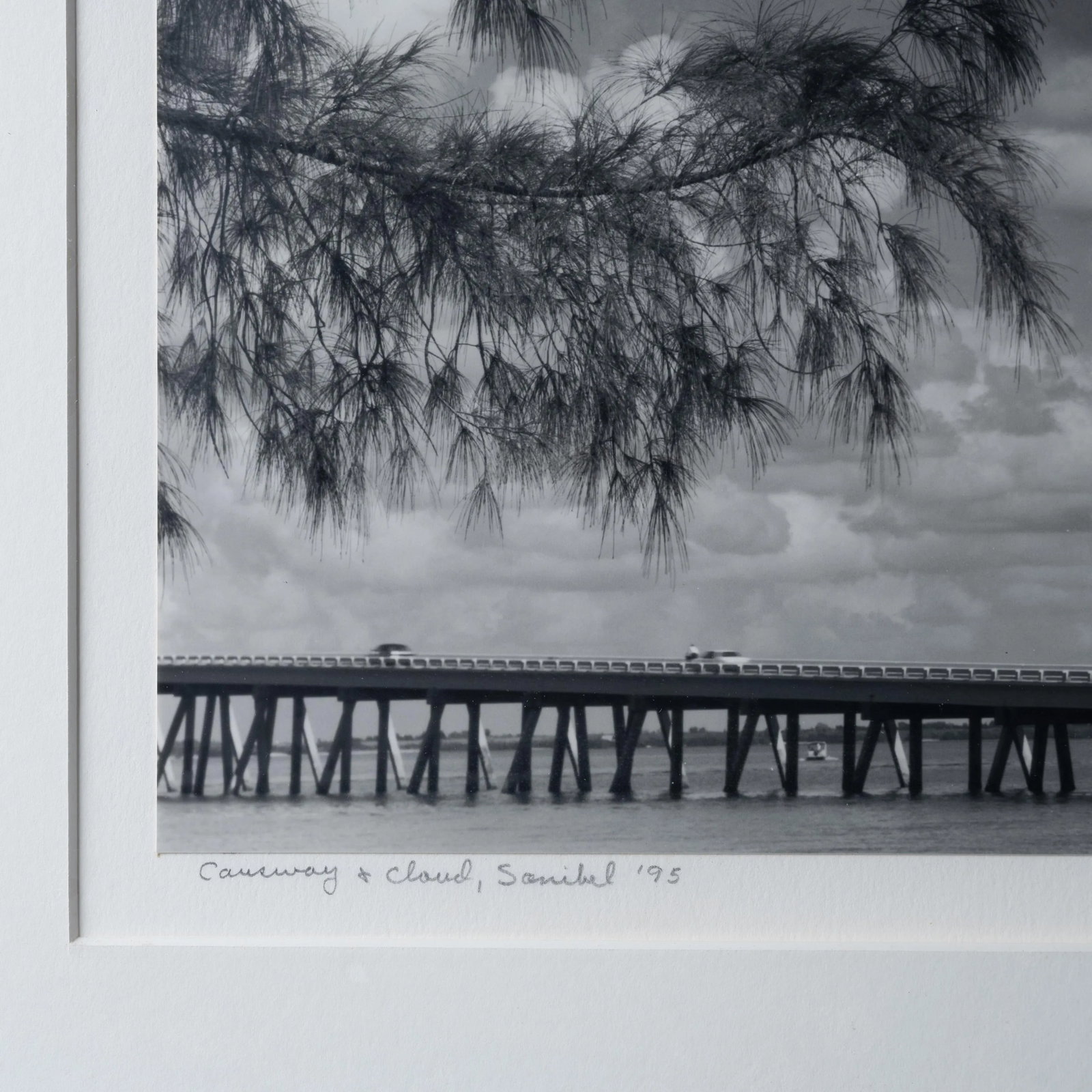 William L. Thomas Sanibel Island Silver Gelatin Photograph - 5
