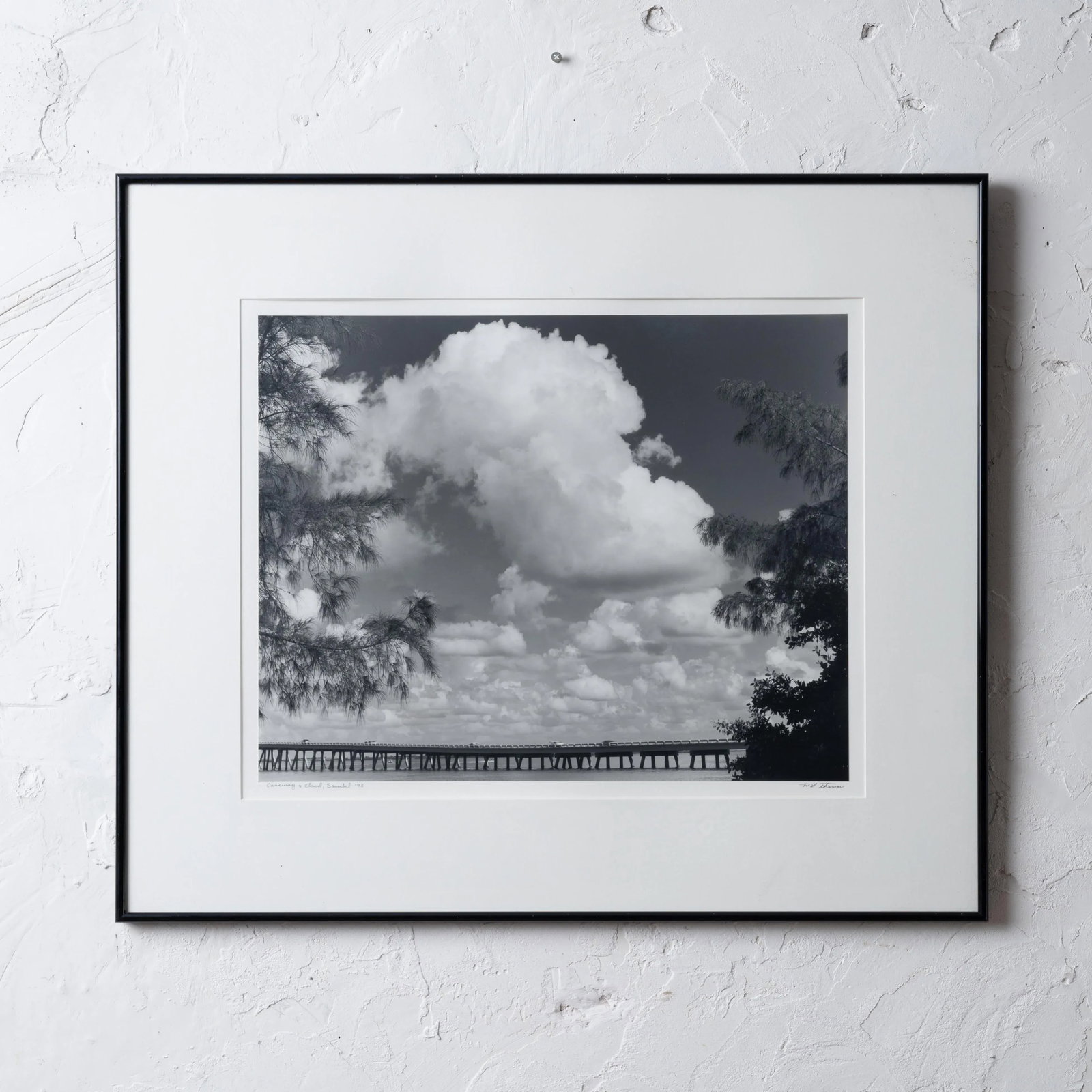 William L. Thomas Sanibel Island Silver Gelatin Photograph - 7