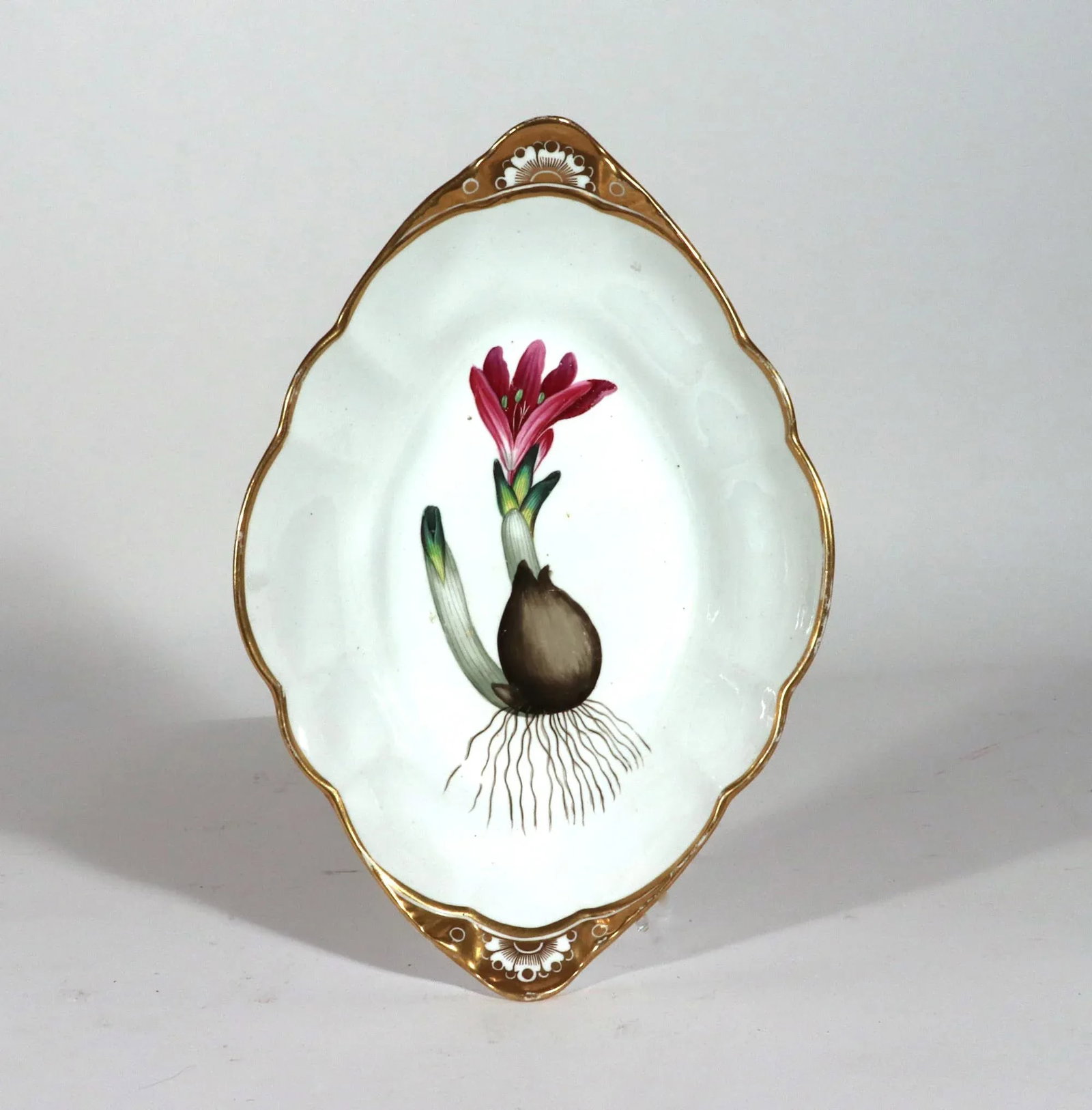 Spode Porcelain Botanical Specimen Dish- Spring Meadow Saffron, After William Curtis - 11