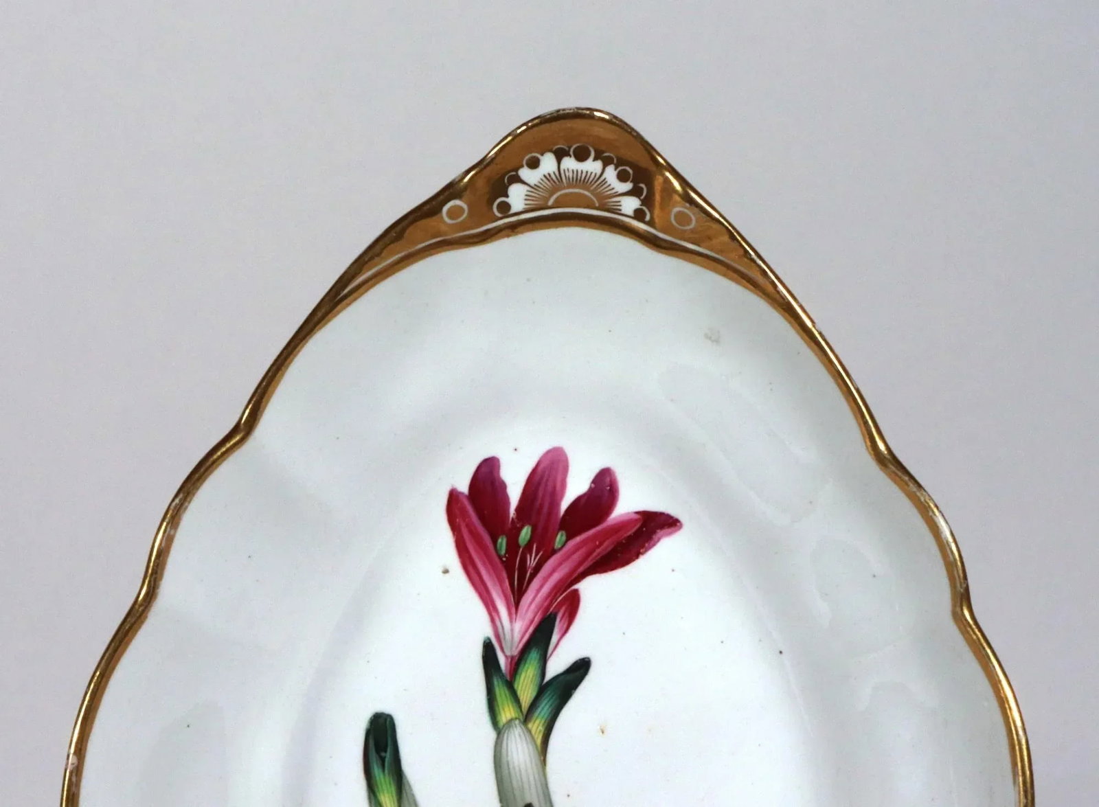 Spode Porcelain Botanical Specimen Dish- Spring Meadow Saffron, After William Curtis - 9