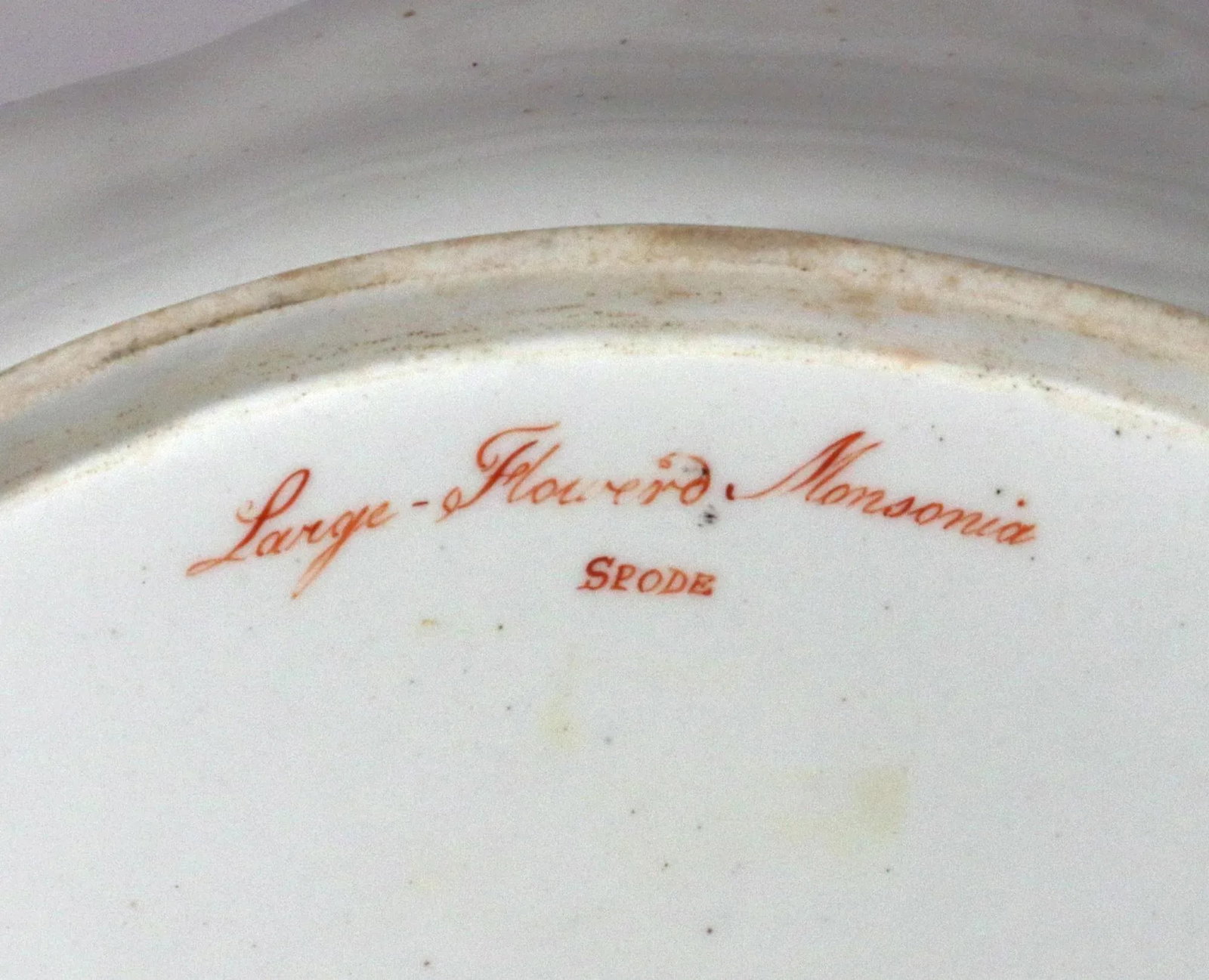 Spode Porcelain Botanical Specimen Dishes- a Pair. After William Curtis - 10