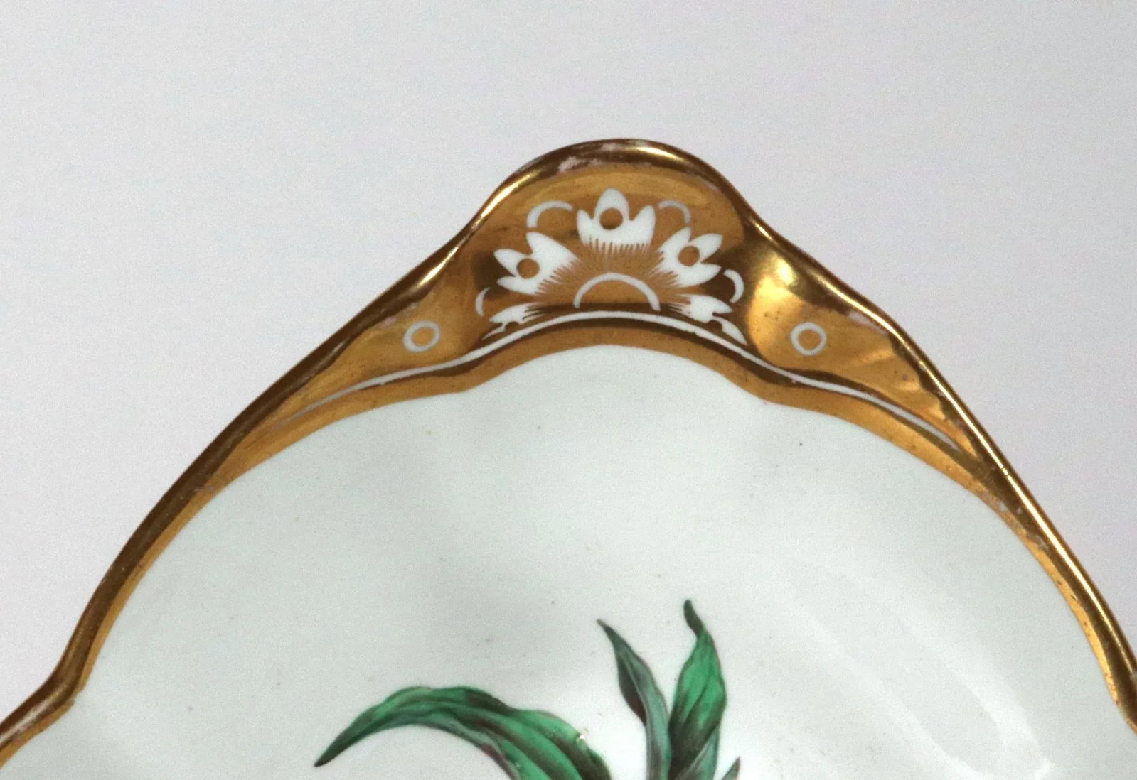 Spode Porcelain Botanical Specimen Dishes- a Pair. After William Curtis - 12