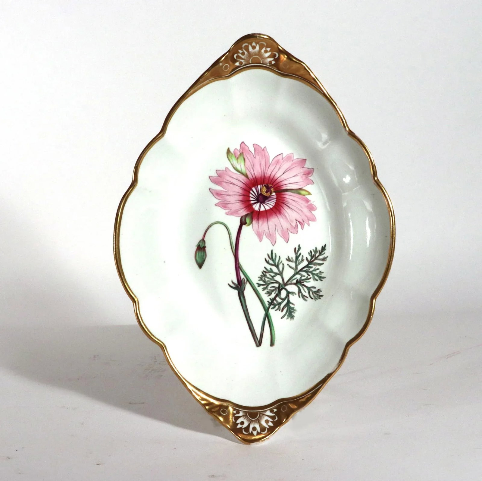 Spode Porcelain Botanical Specimen Dishes- a Pair. After William Curtis - 4
