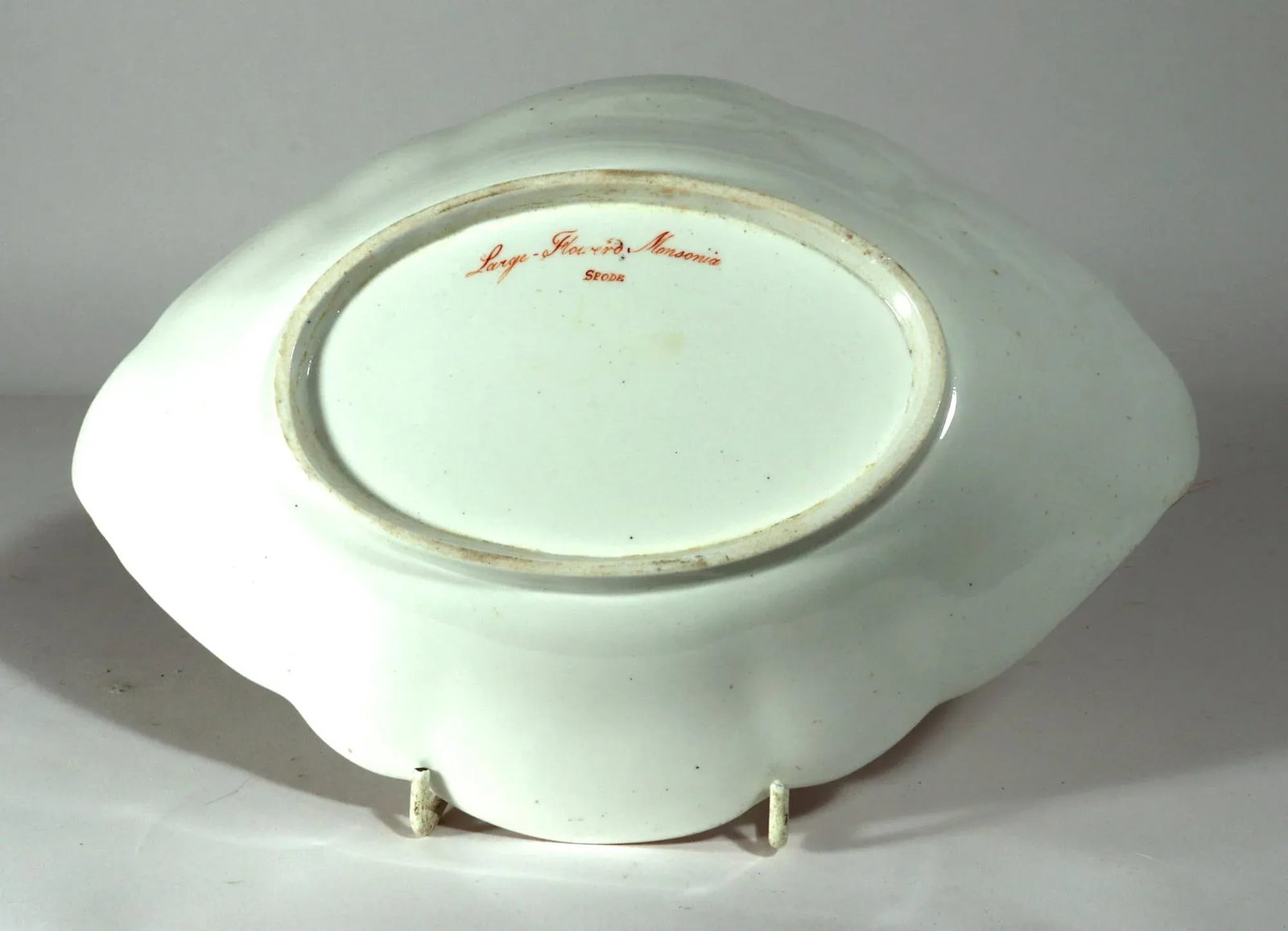 Spode Porcelain Botanical Specimen Dishes- a Pair. After William Curtis - 6