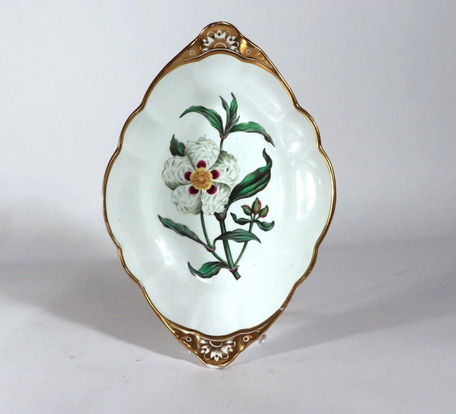 Spode Porcelain Botanical Specimen Dishes- a Pair. After William Curtis - 8