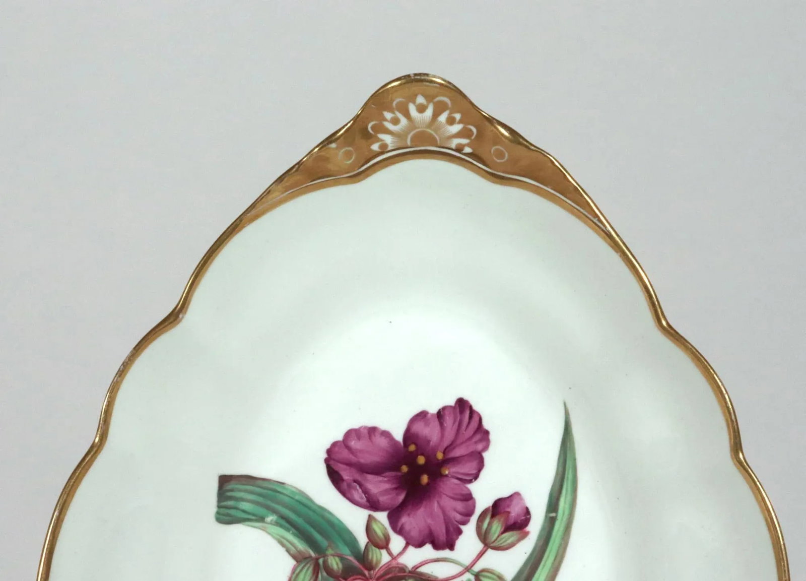 Spode Porcelain Botanical Specimen Dish With a Spiderwort Plant After William Curtis - 3