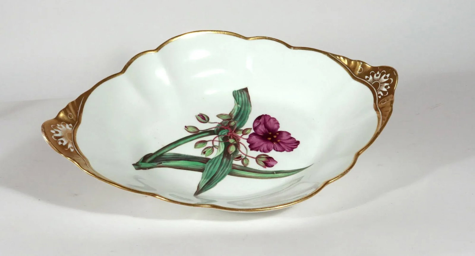 Spode Porcelain Botanical Specimen Dish With a Spiderwort Plant After William Curtis - 4