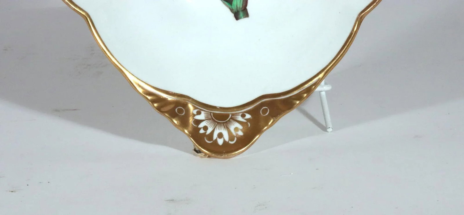 Spode Porcelain Botanical Specimen Dish With a Spiderwort Plant After William Curtis - 5