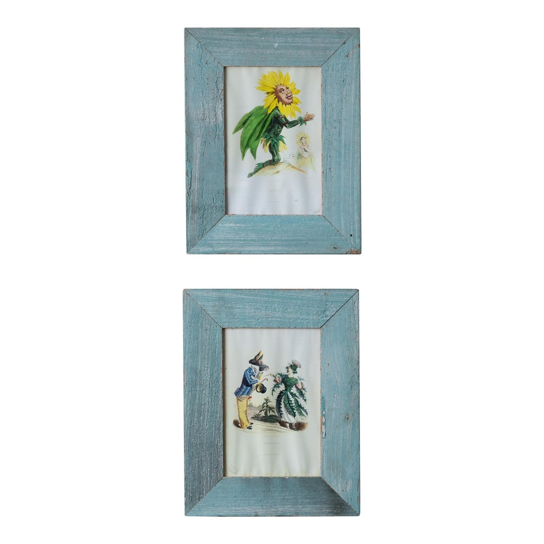 j.j. Grandville's Les Fleurs Animees Prints - A Pair: J.J. Grandville (French, 1803-1847) A pair of prints after J.J. Grandville's Les Fleurs Animees, 20th century. In reclaimed wood frames with distressed paint. frame 10 Â½ by 13 Â½