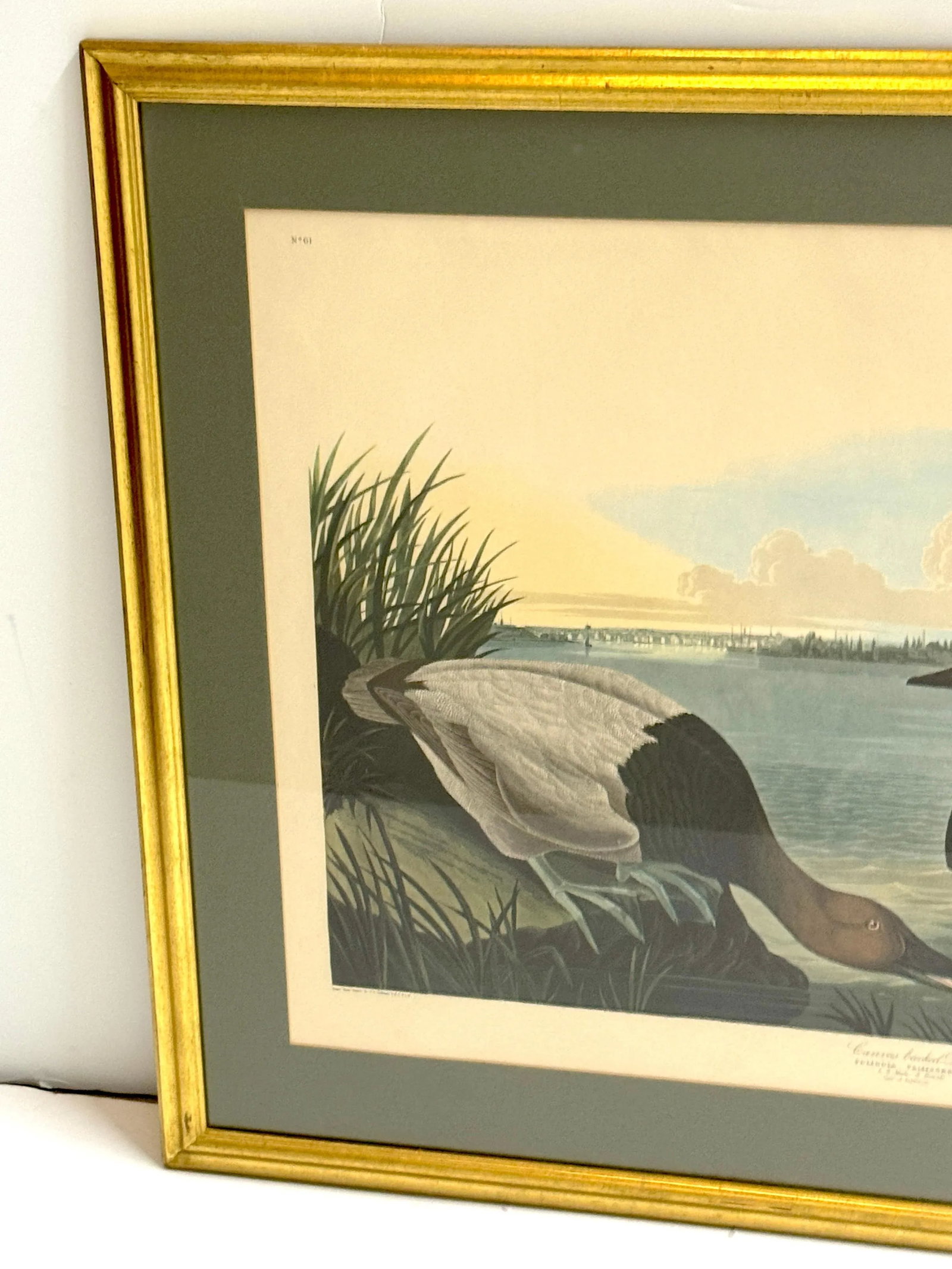 Mallard Duck and Canvasback Duck, After John James Audubon, 20th Century - Set of 2 - 6