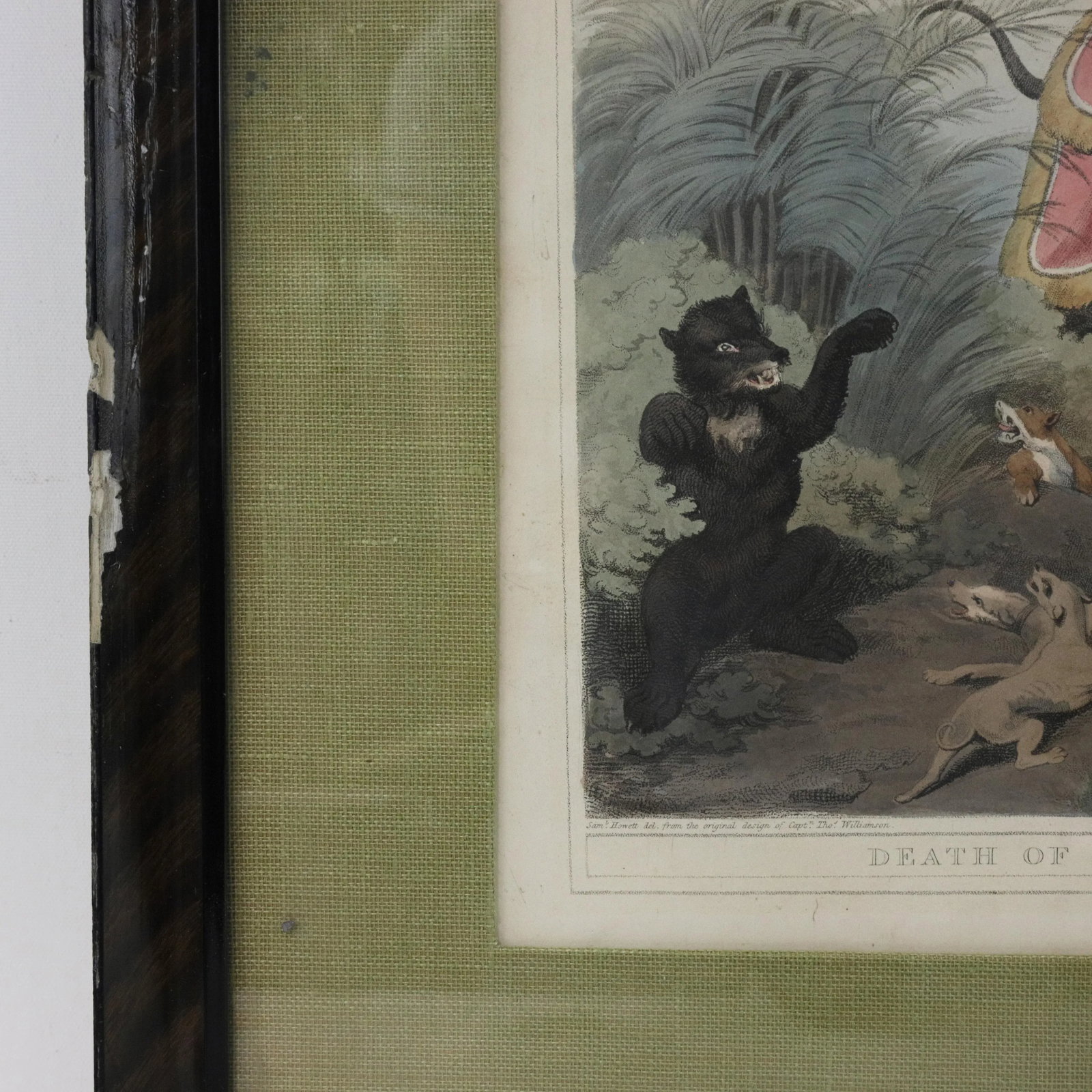 Framed 1818 Hand-Colored Aquatint "Death of the Bear" by Howitt & Williamson - 8