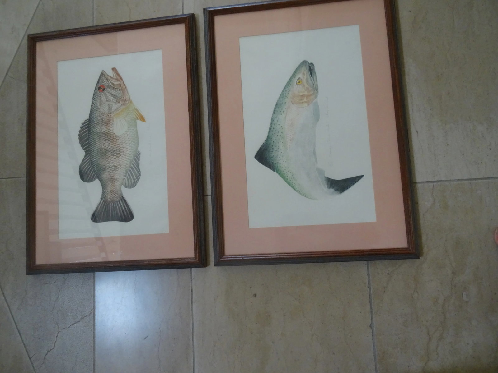 Late 20th Century Limited Edition Fish Lithographs a Pair, Framed - 2