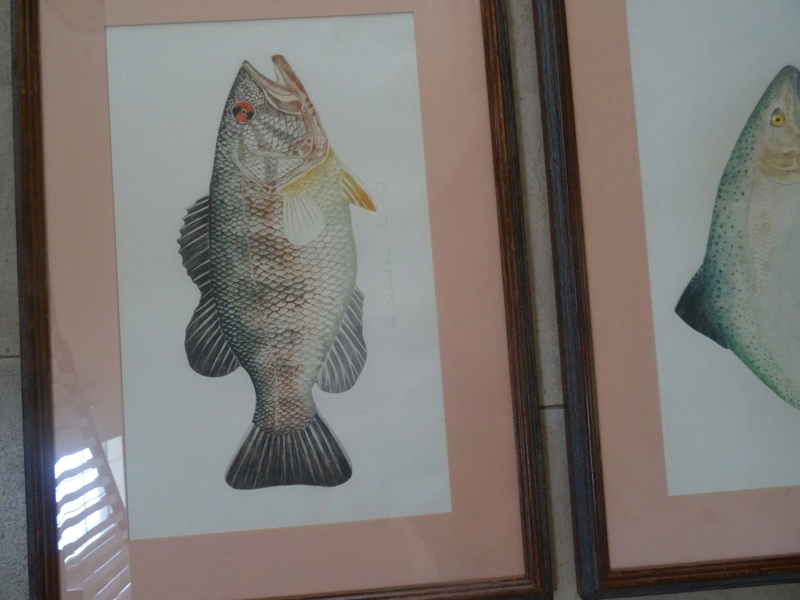 Late 20th Century Limited Edition Fish Lithographs a Pair, Framed - 4