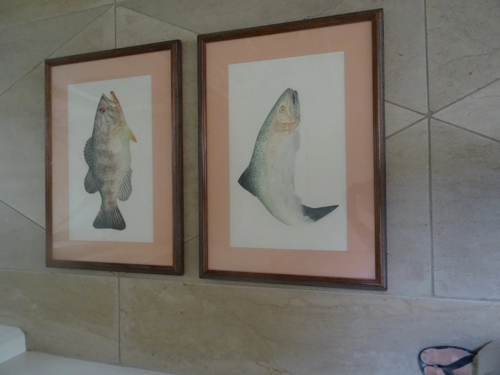 Late 20th Century Limited Edition Fish Lithographs a Pair, Framed - 6