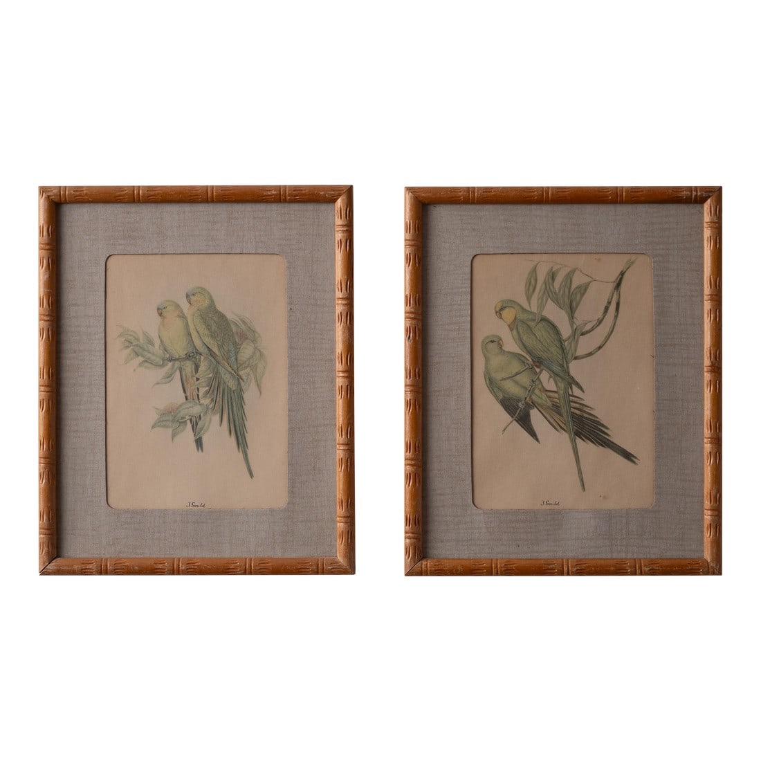 Pair of Gould Parrot Prints, 1940s: A pair of decorative Gould bird prints from Lambert Products, 1940s. The prints are framed in vintage faux bamboo frames with neutral tones. sight: 5 by 7 inches frame: 8 Â¾ by 10 Â