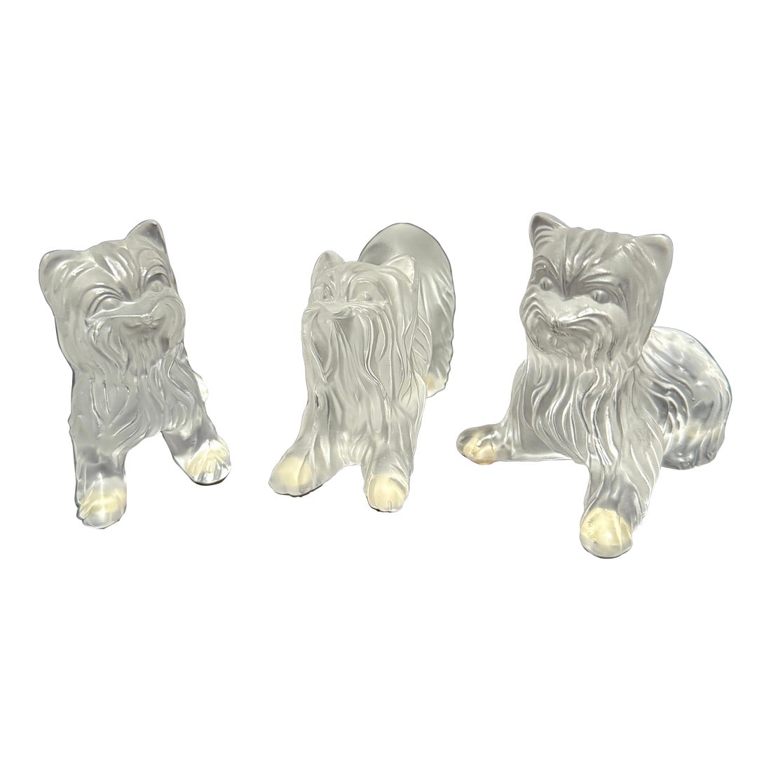 Set of Three Signed Lalique France Frosted Glass Yorkshire Terrier Figurines: A charming set of three frosted glass Yorkshire Terrier figurines by Lalique, France, each signed on the base. Masterfully crafted, these pieces showcase Lalique's signature attention to detail with