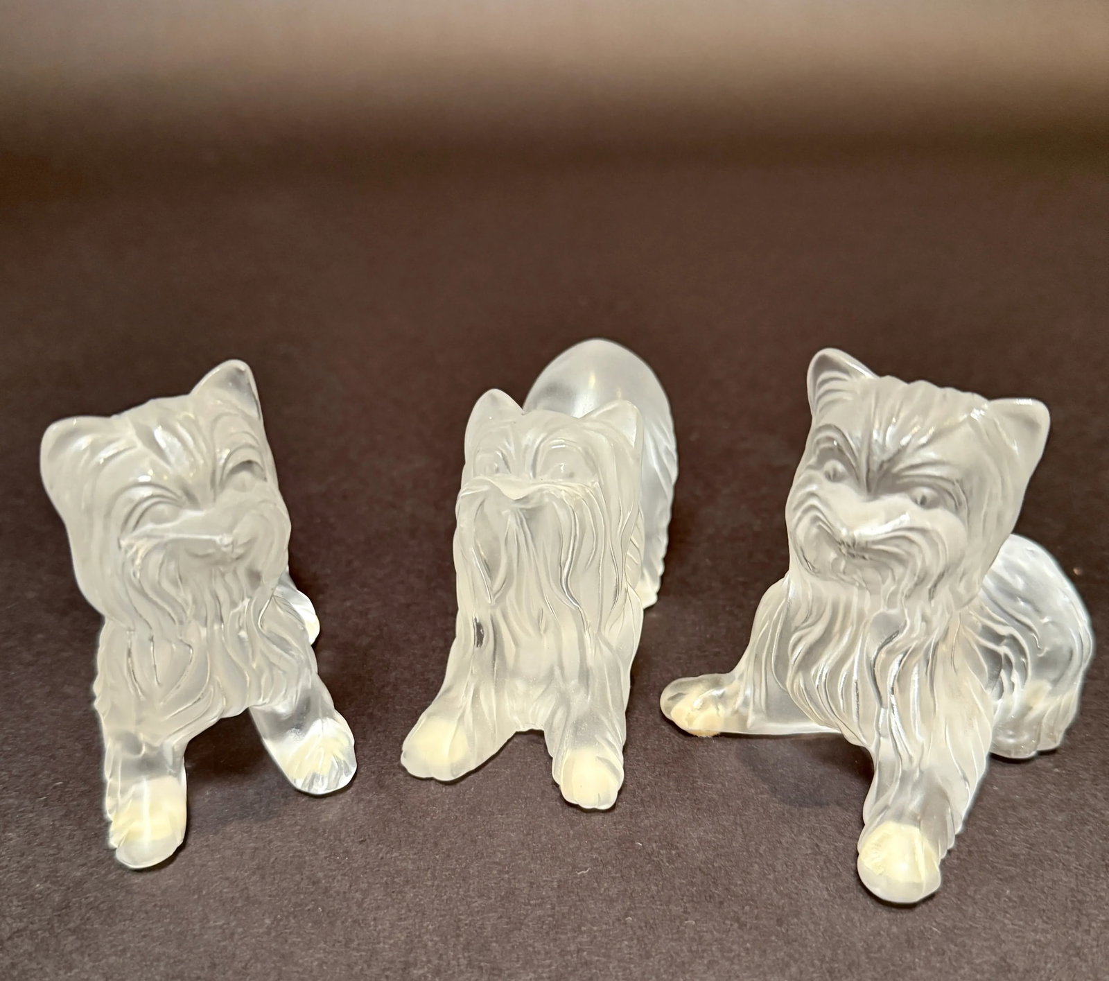 Set of Three Signed Lalique France Frosted Glass Yorkshire Terrier Figurines - 4