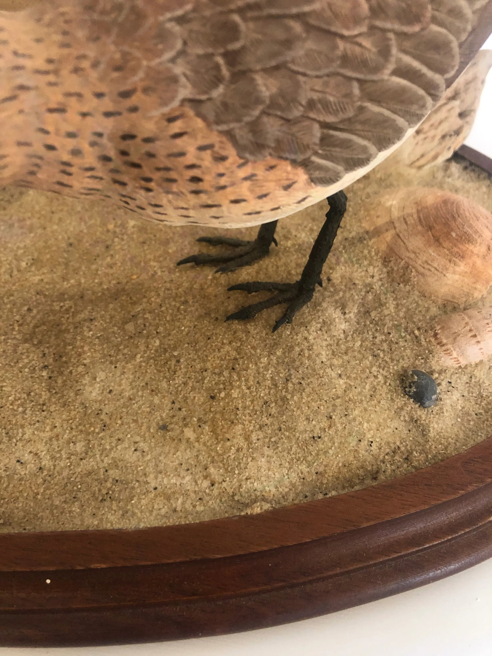Nantucket Oval Tabletop Sculpture of Carved Wood Sandpipers on the Beach - 9