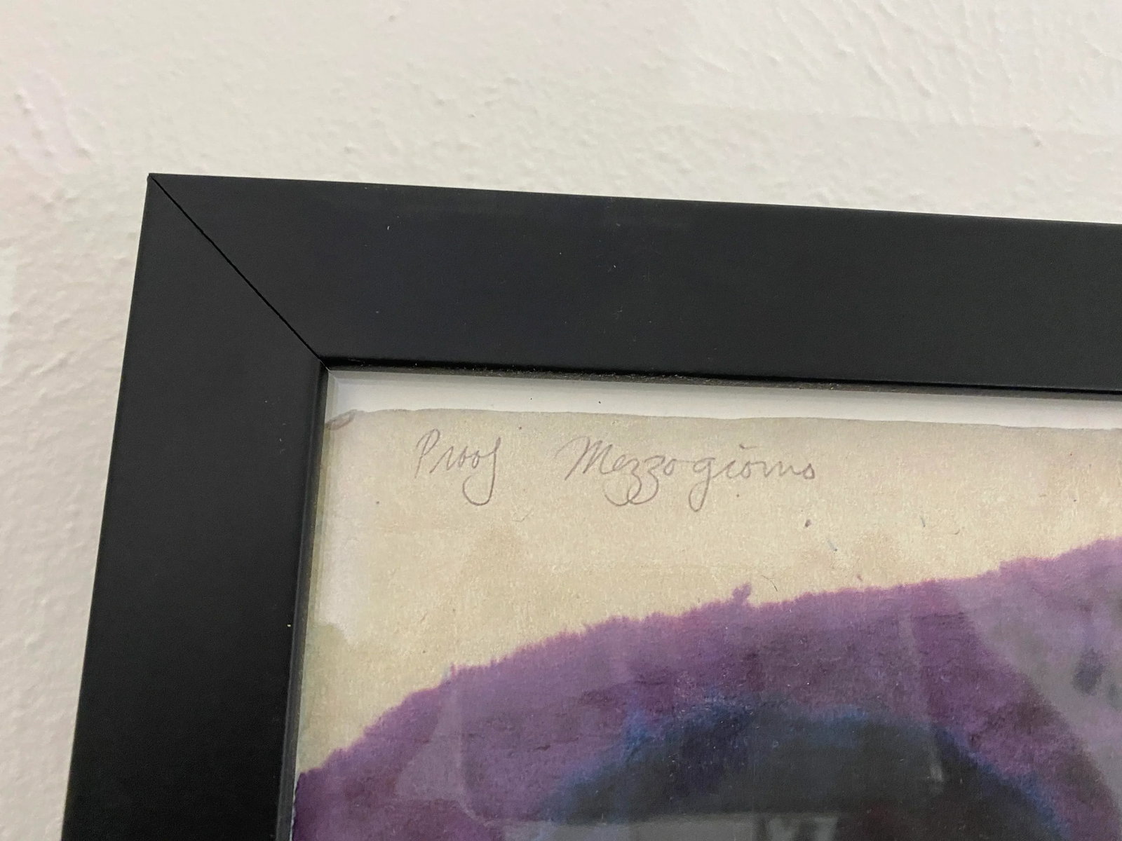1990s Nassau County Museum of Art Carol Summers Exhibition Artist's Proof Signed Poster, Framed - 10