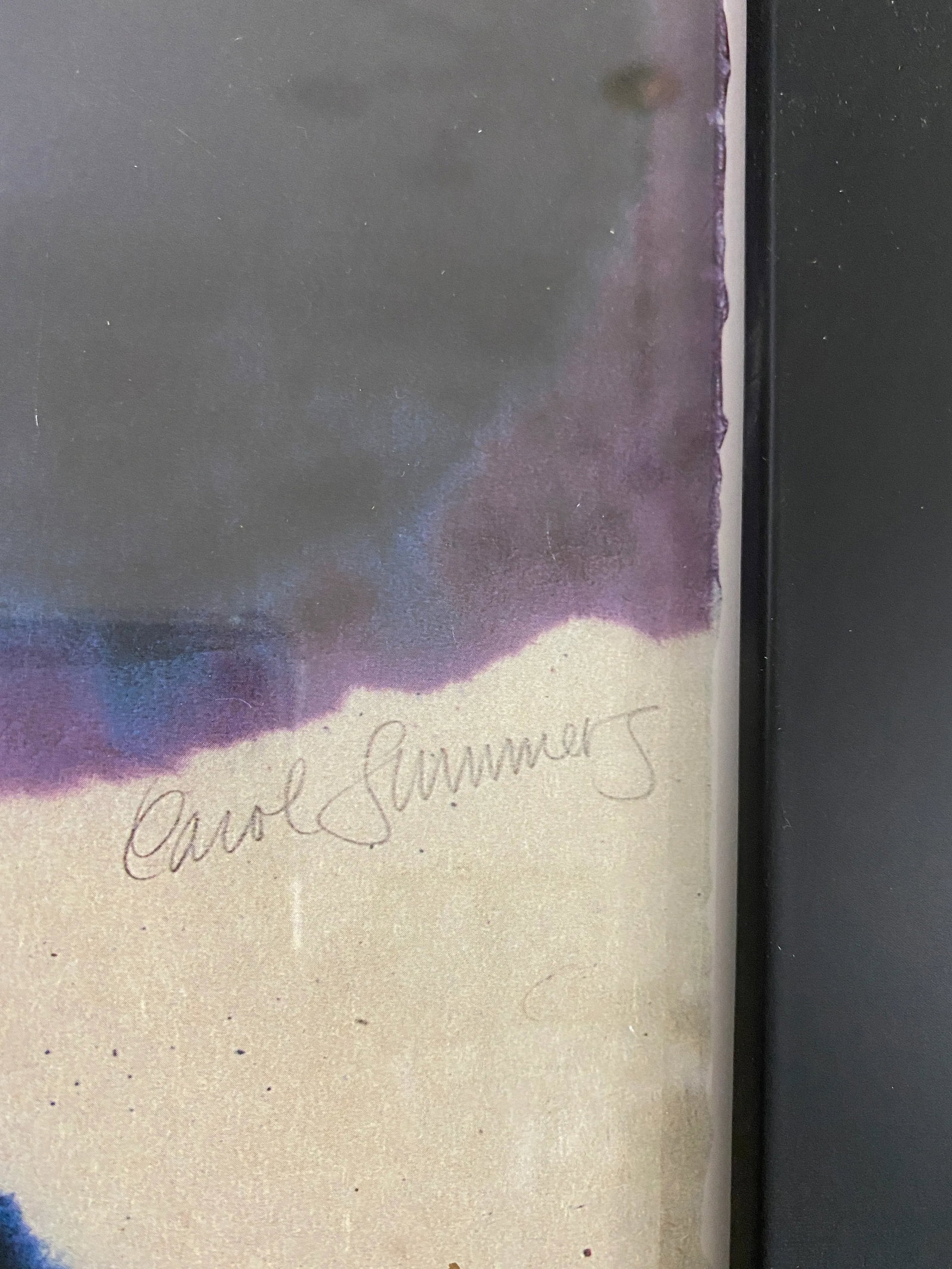 1990s Nassau County Museum of Art Carol Summers Exhibition Artist's Proof Signed Poster, Framed - 11