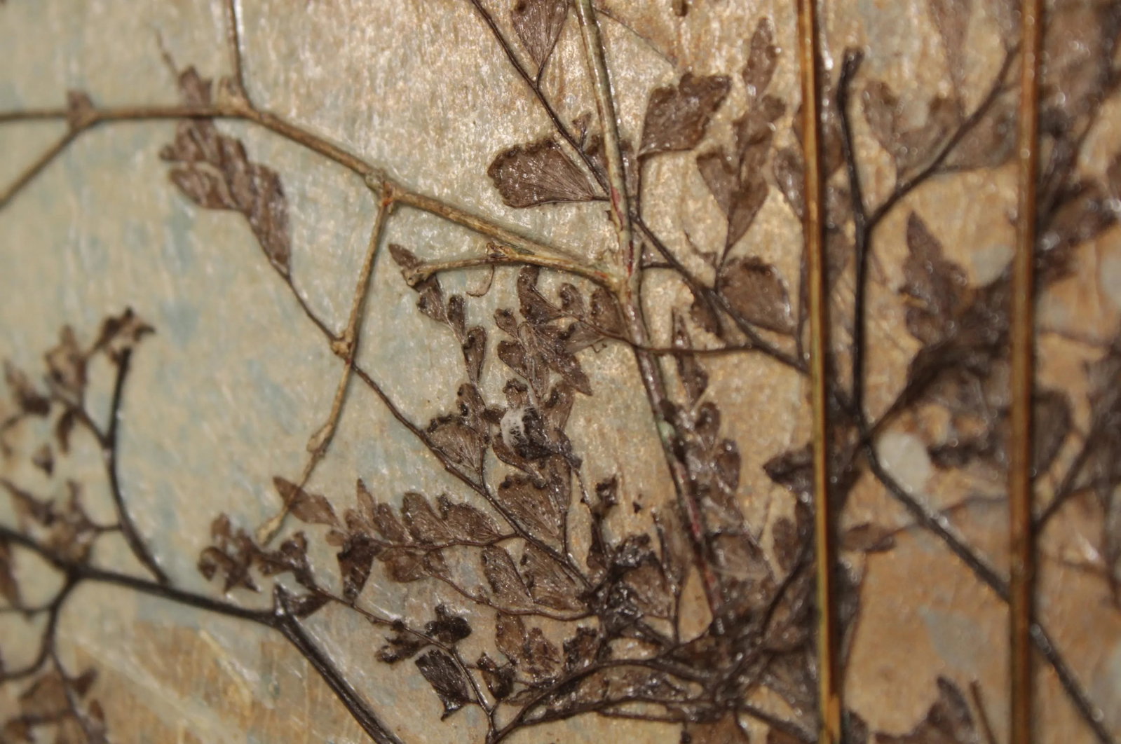 Caroline Starrett Pressed Botanical Mixed Media Collages - A Pair - 8