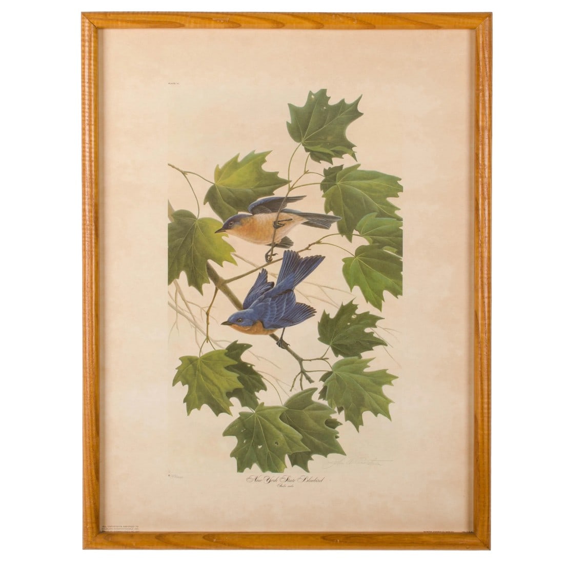 John Ruthven New York State Bluebird Print: John Ruthven signed limited edition print New York State Bluebird Offered is a framed print entitled New York State Bluebird by John Ruthven.Â Â The print is a limited edition published by W