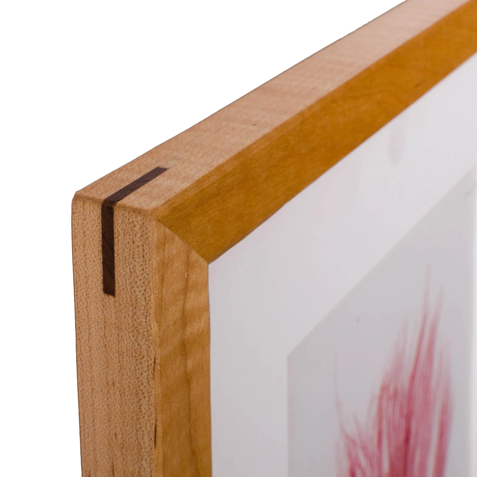 Bradbury Seaweed Prints in Hand-Crafted Frames - Set of 3 - 5
