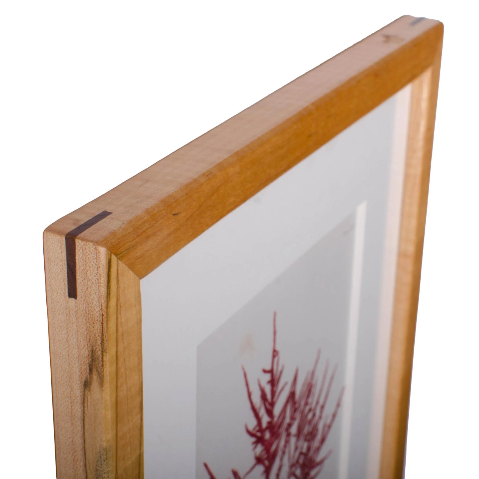 Bradbury Seaweed Prints in Hand-Crafted Frames - Set of 3 - 7