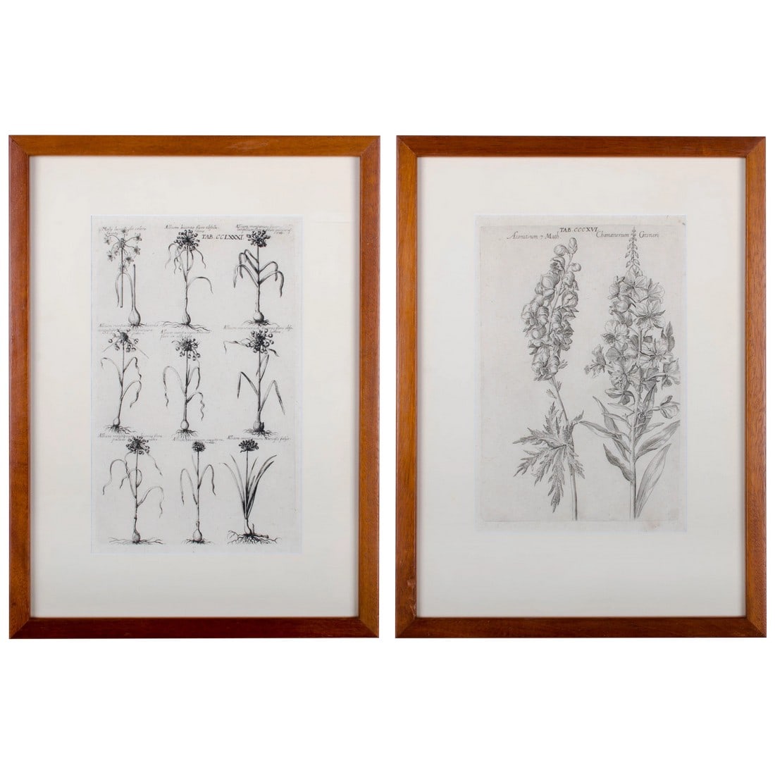 1719 De Bry Botanical Engravings - a Pair: Offered is a pair of 18th century botanical engravings handsomely framed in hand crafted mahogany frames made here in our shop. Â The prints are copperplate engravings fromÂ "Viridarium