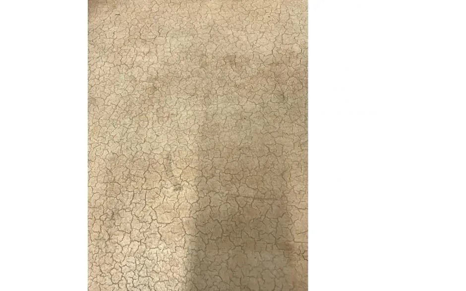 Louis XV Style Light Brown Painted Table - 7