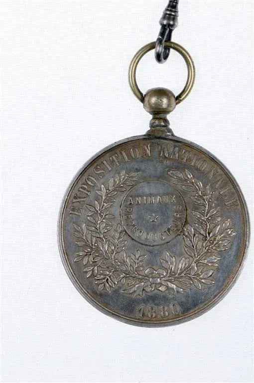 Late 19th Century Cultured Pearl and Medal Necklace - 4