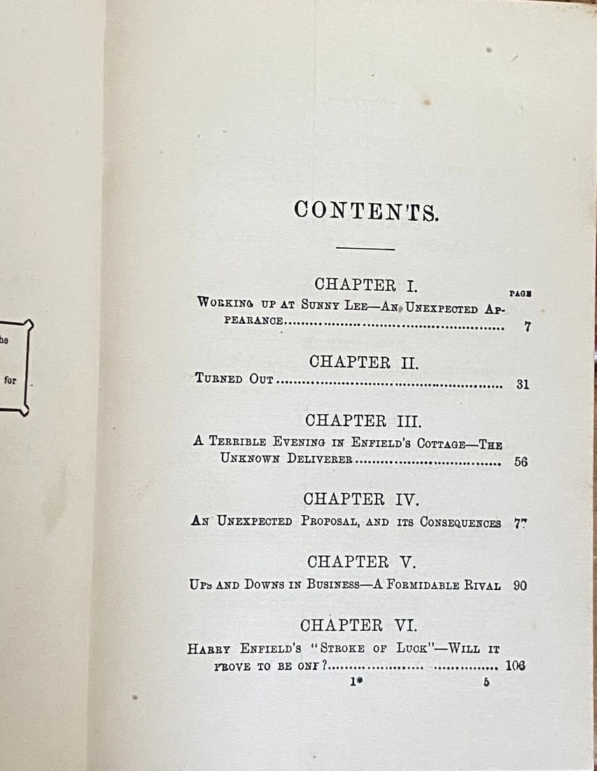 Ruth Buck Lamb It Isn't Right or Frank Johnson's Reason 1st Edition 1867 HC Ill. - 13