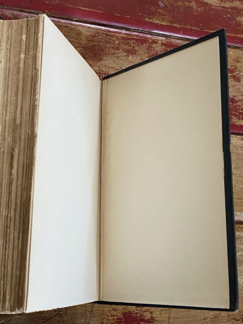 A Tramp Abroad Mark Twain 1907 Illustrated HC Authors Nat’l Ed. Vol III Book I - 13