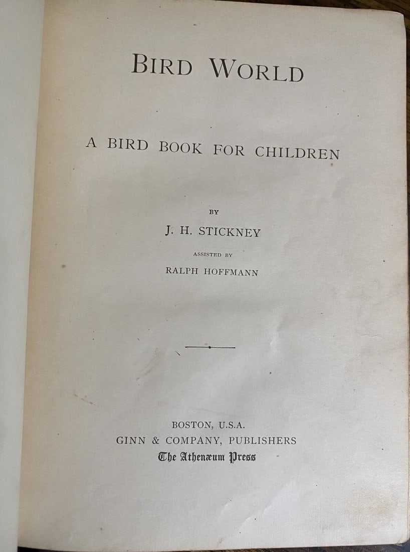 BIRD WORLD Stickney & Hoffmann 1st Ed. 1898HC Ginn & Co. ForChildren Illustrated - 2